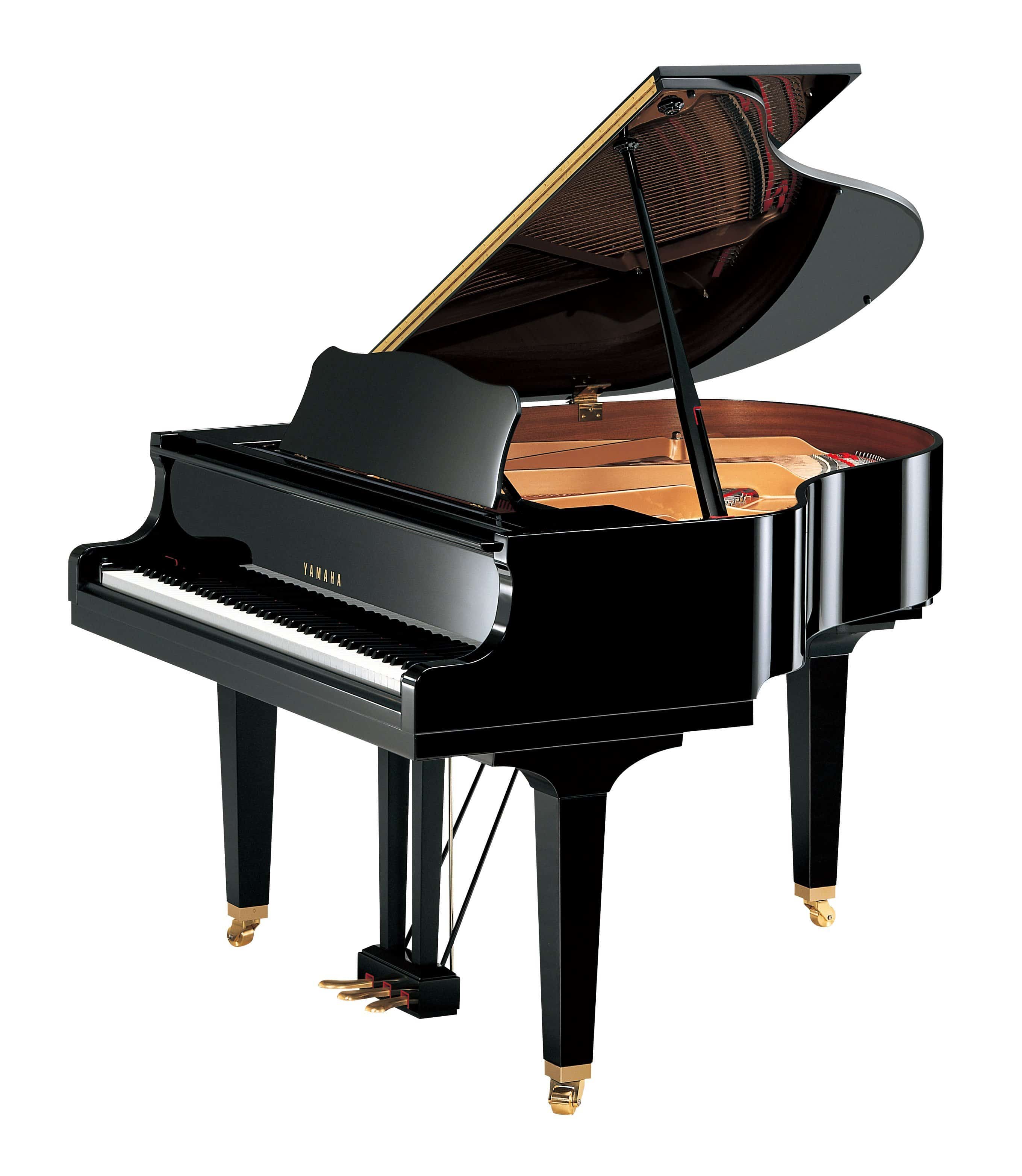 New Grand Pianos for Sale