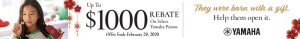 Lunar New Year Piano Sale January and February 2020