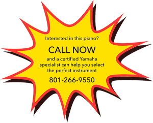 Call The Piano Gallery to Discuss the Yamaha P-S500 Digital Piano
