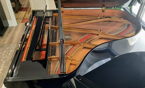 Sojin Professional 6'1"Polished Ebony Grand Piano - St George - Image 4