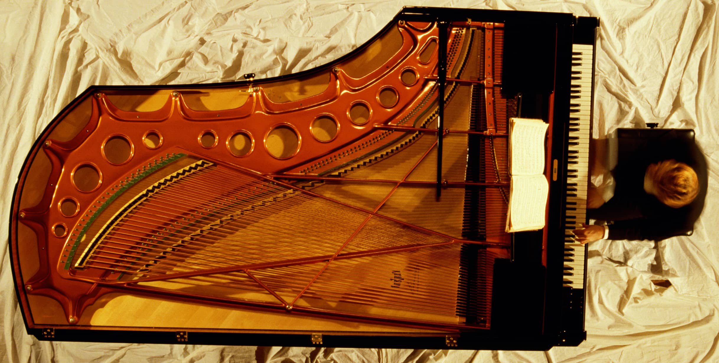 Inside of concert grand piano showing strings and soundboard to illustrate how grand pianos work
