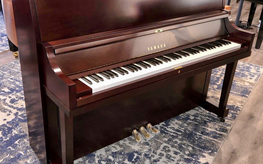 Yamaha P22 Professional Upright Piano – St George