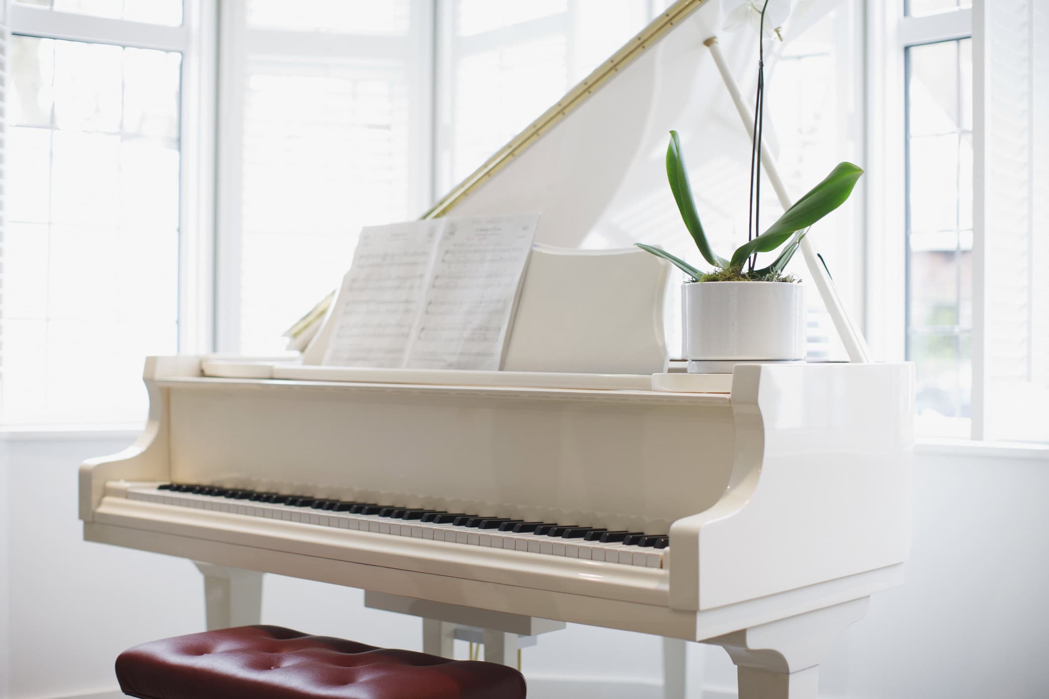 Beautiful white grand piano in bright, sunlit living room