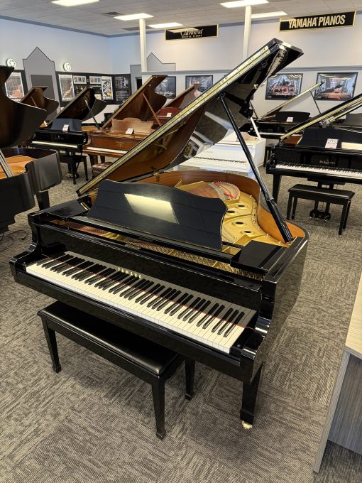 Exceptional Preowned Yamaha 6'1" Polished Ebony Grand Piano - Murray - Image 2
