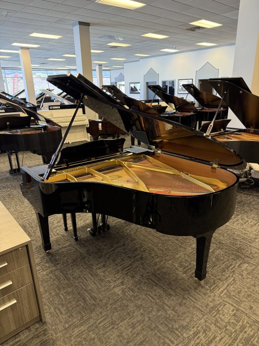 Exceptional Preowned Yamaha 6'1" Polished Ebony Grand Piano - Murray - Image 3