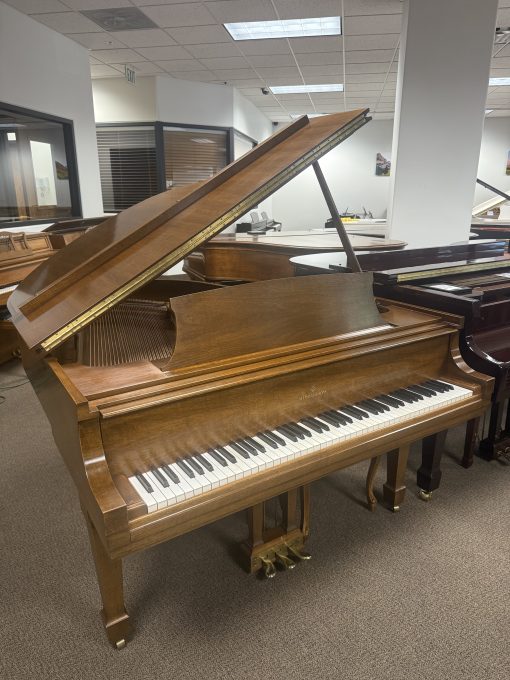 Beautiful Vintage Pre-Owned Steinway & Sons Model M - Orem - Image 2